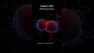 Cancer cell metastasis Animation [upl. by Aivuy]