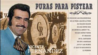 PURAS PARA PISTEAR SELECCIÓNADAS VICENTE FERNÁNDEZ MIX PERRONAS  LO MEJOR DE VICENTE FERNÁNDEZ [upl. by Anilad]