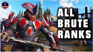 All Banished Brute Ranks  Halo Lore [upl. by Adilen90]