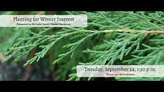 Plants for Winter Interest [upl. by Wallinga]