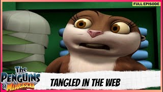 The Penguins of Madagascar  Full Episode  Tangled In The Web [upl. by Adnilab]