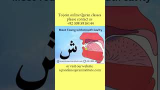 Alif Baa Taa  noorani qaida lesson 1 Arabic Alphabet  Noorani Qaida Alif Baa  Arabic beginners [upl. by Cheung556]