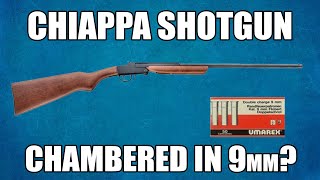 Live Fire  Deal On The Chiappa Shotgun 9mm Flobert 1000 Rounds Of Ammo FREE [upl. by Kcirrez]