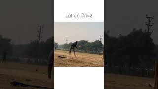 Lofted Drive cricket drive sixhitting cricketbatting batting [upl. by Idolem522]