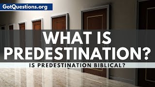 What is Predestination  Predestination in the Bible  GotQuestionsorg [upl. by Michaeu]