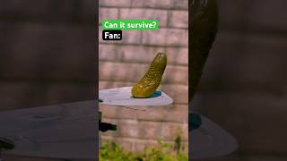 What can a pickle survive 🥒🤔 [upl. by Hylton443]