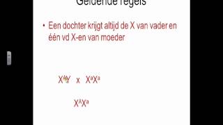 Biologie Uitleg Xchromosomale overerving [upl. by Neyrb]