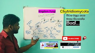 ChytridiomycotaKingdom Fungi ජීවන චක්‍රය ඕනේ [upl. by Sinclair]