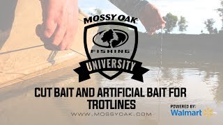 Best Cut Bait and Artificial Bait for Trotlines  Mossy Oak University [upl. by Elmajian]