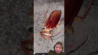 Cockroach ka khel khatam shorts comedyvideo viralvideo [upl. by Curzon]