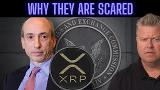 Latest XRP Ripple News Today SEC Shreds Ultimatum [upl. by Skerl]