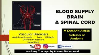 Blood Supply  Vascular Lesions  Brain amp Spinal Cord  M Kamran Ameer [upl. by Areht440]