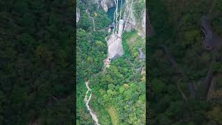 Who is this Do you know Zhang Tianqi Bungee jumping on the Zhangjiajie Grand Canyon Glass Brid [upl. by Suivatal860]