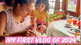 My First Vlog Of 2024  Pearle Maaney  Baby Nitara  Baby Nila [upl. by Annaigroeg]