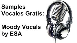 Samples Vocales Gratis Moody Vocals by Esa Turner Vocales de mujer para tus canciones [upl. by Begga]