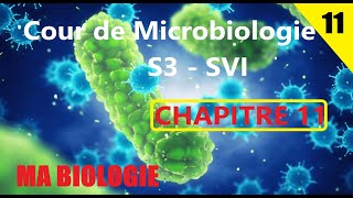 Cour de Microbiologie S3SVI  CHAPITRE 11 [upl. by Maleen]