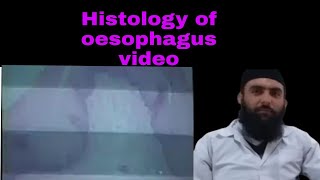 Histology of oesophagus MBBS and BDS lectures by Dr Alamdin [upl. by Hatti]