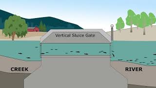 Vertical sluice gate  a solution for fish passage and water quality [upl. by Atalayah]