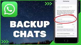 How to Backup Chat on WhatsApp  WhatsApp Chat Backup [upl. by Walrath409]