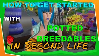 How to get started with POTTED in second life  POTTED breedables tutorial [upl. by Anelahs]