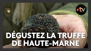 Dégustez la truffe de HauteMarne [upl. by Okire541]