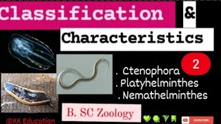 Classification amp Characteristics  2 l Ctenophora l Platyhelminthes l Nemathelminthes l [upl. by Eemia]