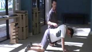 Lumbar and Thoracis Extension with the E Cise of the Week  Static Extension Position [upl. by Kelley]