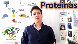 Proteínas y Aminoácidos UN MES DE CLASES EN 10 MINUTOS [upl. by Gonsalve]