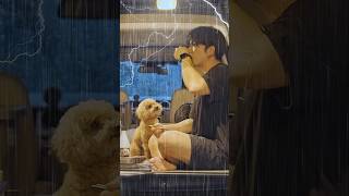 Camping in Heavy Rain with Romance [upl. by Wilson]