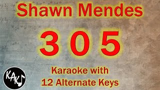 305 Karaoke  Shawn Mendes Instrumental cover Lower Higher Female Original Key [upl. by Yarvis]