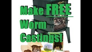 How To Set up a Cheap Worm Bin For Less Than 10 [upl. by Mcbride]