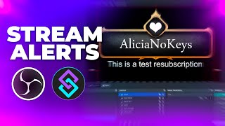 Custom STREAM ALERTS with OBS Studio amp Streamerbot  Tutorial [upl. by Edmonda143]