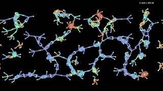 Fourarmed quothydraquot molecules in an increasing electric field [upl. by Killian]