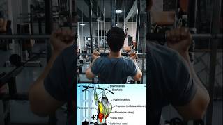 How to do lat pulldown workout bodybuilding motivation [upl. by Balliol733]