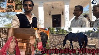 सम्बाडिया गांव के रोचक स्थान और सम्बाडिया टांका धाम  Sambadiya Village Jodhpur  Rajasthan [upl. by Libb]