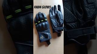 Riding Gloves Raida Cruise Pro 2 youtubeshorts ridinggear [upl. by Catriona]