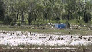 Raw Footage Grantham Queensland Floods Lockyer Valley Ground Zero [upl. by Bowlds972]