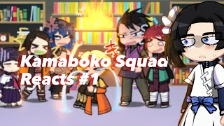 Kamaboko squad react to my Fyp 1 Phxtographer [upl. by Ayerf]