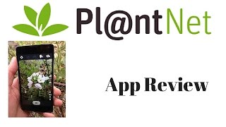 Plant Net App Review  How to use plant net app on your phone [upl. by Humfrid]