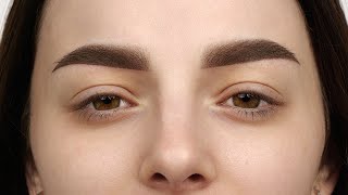 Ombre Brows  overview of the procedure  steps by step [upl. by Ilrebma]