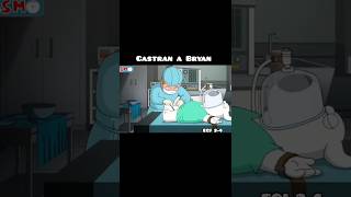 Castran a Bryan 🤣 familyguy stewiegriffin humor shorts shortsfeed shortsviral [upl. by Anatolio717]