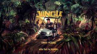 Xavier Picardo  Jungle Lyrics Video [upl. by Gaudette28]