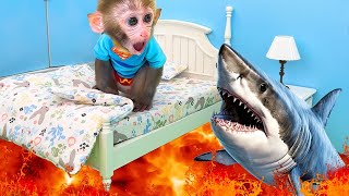 Monkey Baby Bon Bon goes shark fishing and eats watermelon and ducklings in the garden [upl. by Ahtelra]