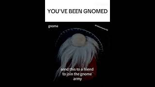 YOUVE BEEN GNOMED gnome gnomed funny memes [upl. by Yroffej692]