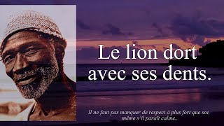 10 Proverbes Africains Expliqués ǀ Humour amp Philosophie 1 [upl. by Arag545]