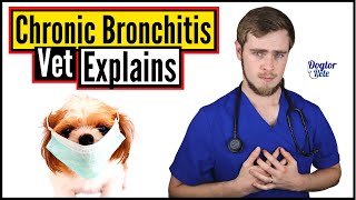 What Is The BEST Way To Treat A Dog With Chronic Bronchitis  Vet Explains [upl. by Eiba]