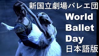 新国立劇場バレエ団「World Ballet Day」日本語版 [upl. by Bellis509]