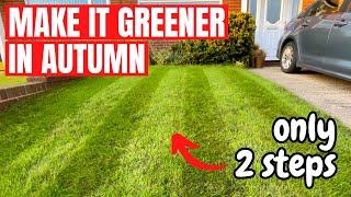 2 Steps to Improve Your LAWN This AUTUMN  Normal UK Lawn [upl. by Desmond]