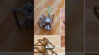 Sensitive robots made from dead spiders interestingfacts spider robots facts science [upl. by Raviv]