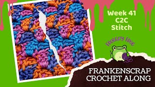 Week 41 Of The FrankenScrap Crochet Along By FroggityFrogCrochet  Corner To Corner  LEFT VIDEO [upl. by Ahsilaf]